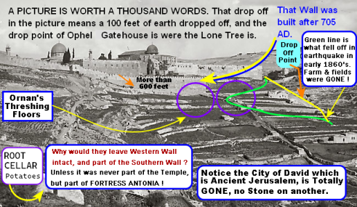 1686691042979.png