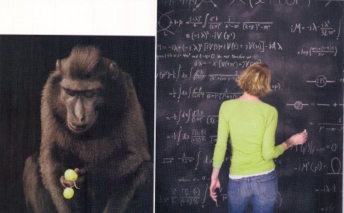 Human Vs Other Species_0001.jpg
