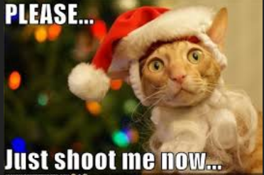 Shoot.png