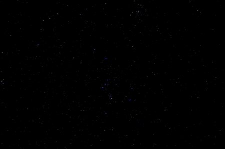 IMG_2199.jpeg