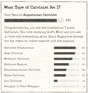 WhatkindofCalvinist.jpg