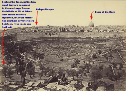 1715722195120.png