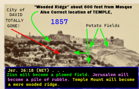 1686633984070.png