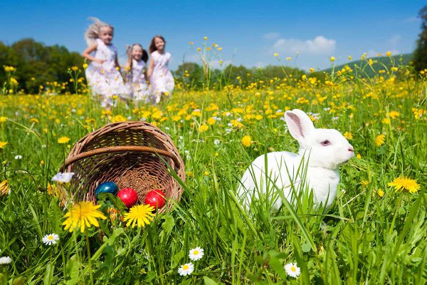 1200_easter_eggs-600x400.jpg