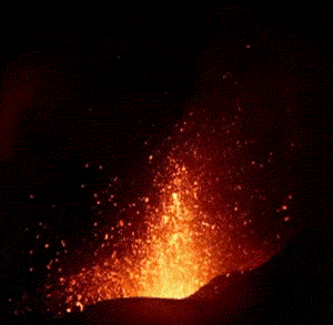 giphy-53.gif